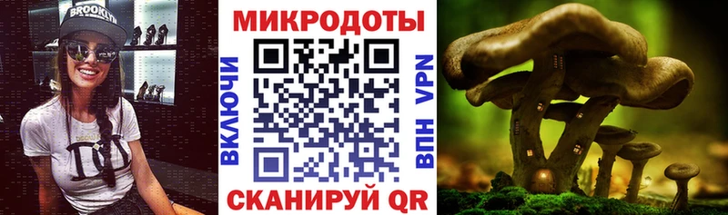 Псилоцибиновые грибы MAGIC MUSHROOMS  Пошехонье 